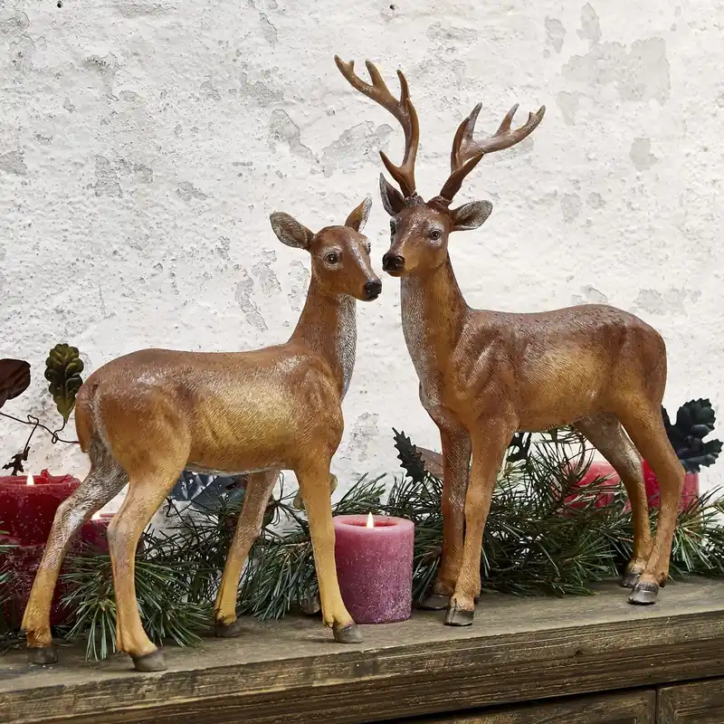 Saisonangebot Hirsch + Reh Dunblane
