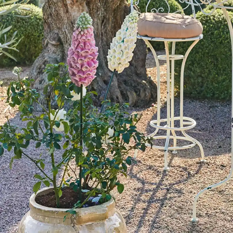 Dekoblume 2er Set Lilacs Schneller Versand