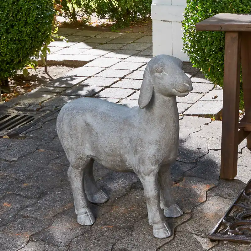 Schaf Mouton Günstig