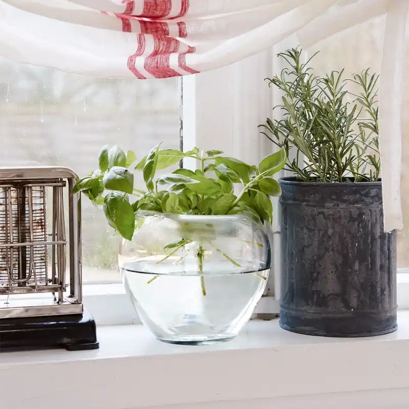 Saisonangebot Vase Adana