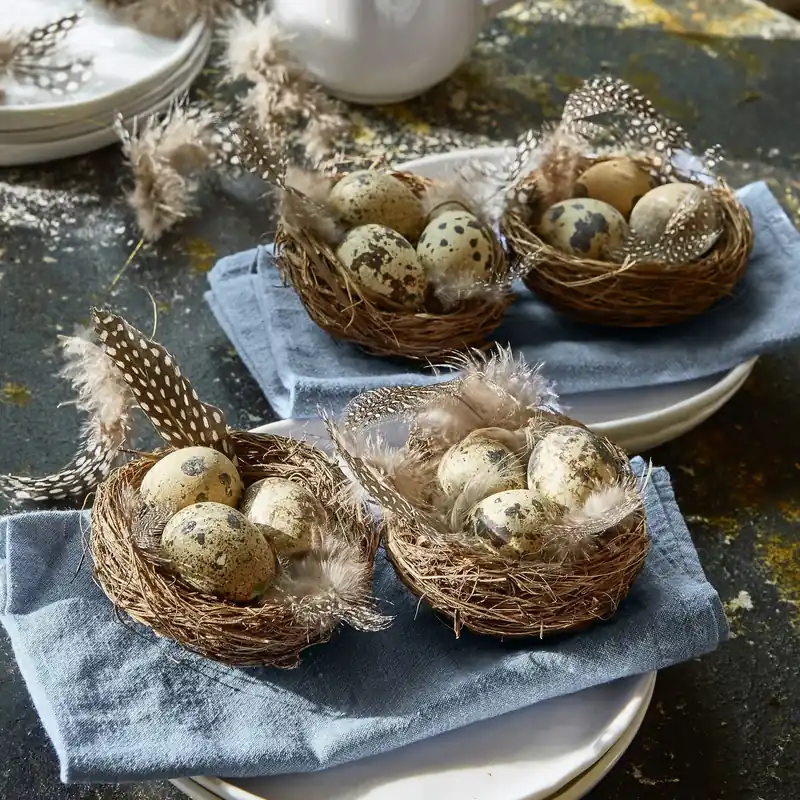 Nest 4er Set Iracebeth Preisreduziert