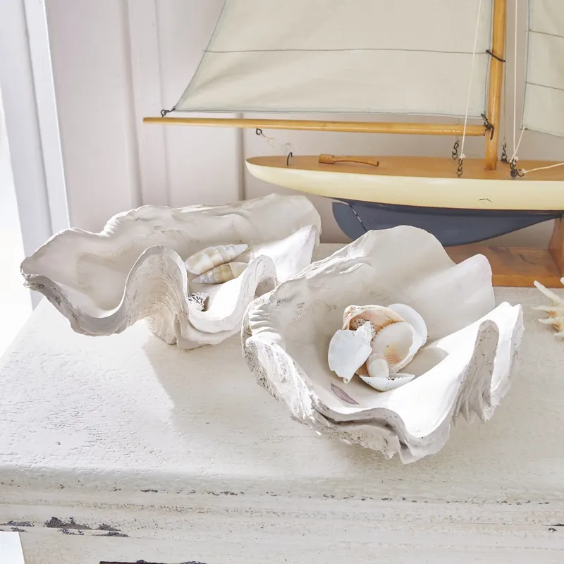 Muschel 2er Set Sealife Top-Seller