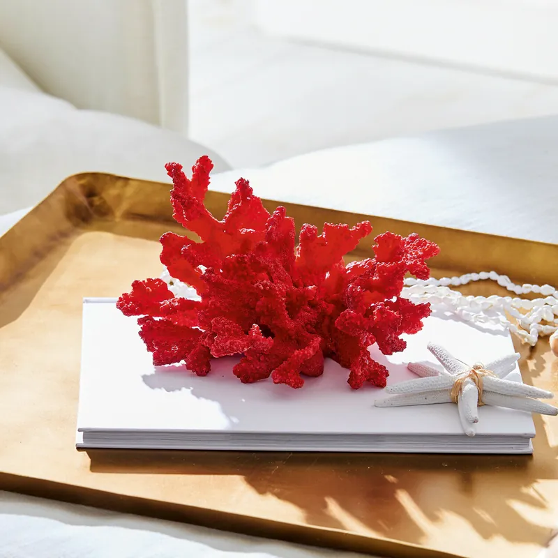 Deko-Koralle Reddish Preiswert