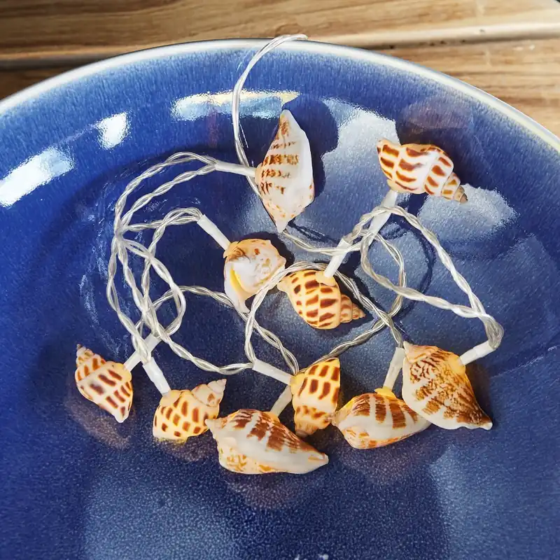 Lichterkette Muscheln Garantierte Lieferung