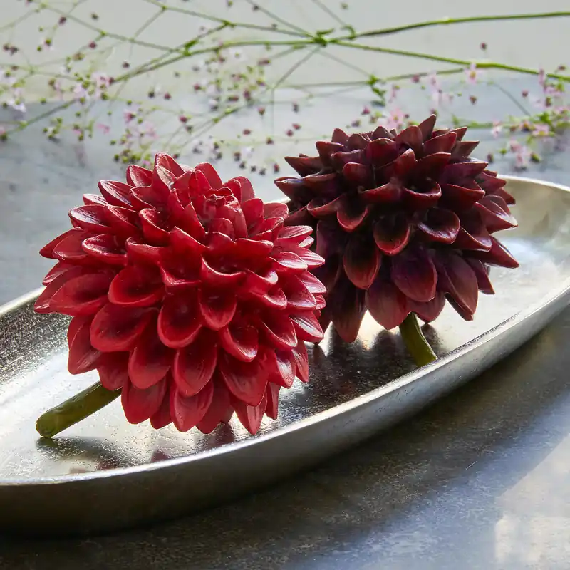 Dekoblume 2er Set Dahlien Neue Ware