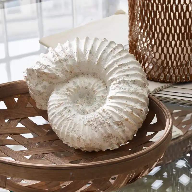 Deko-Schnecke Flers Neu