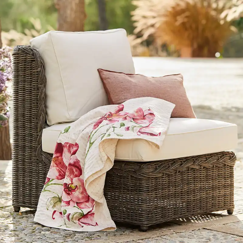 Sessel Venti Bestpreis