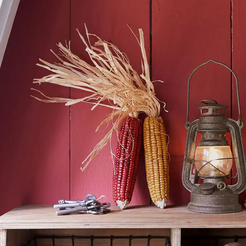 Top-Seller Deko-Maiskolben 2er Set Harvest