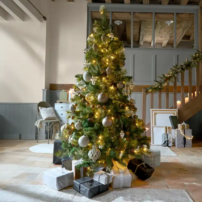 Expressversand Weihnachtsbaum Aure