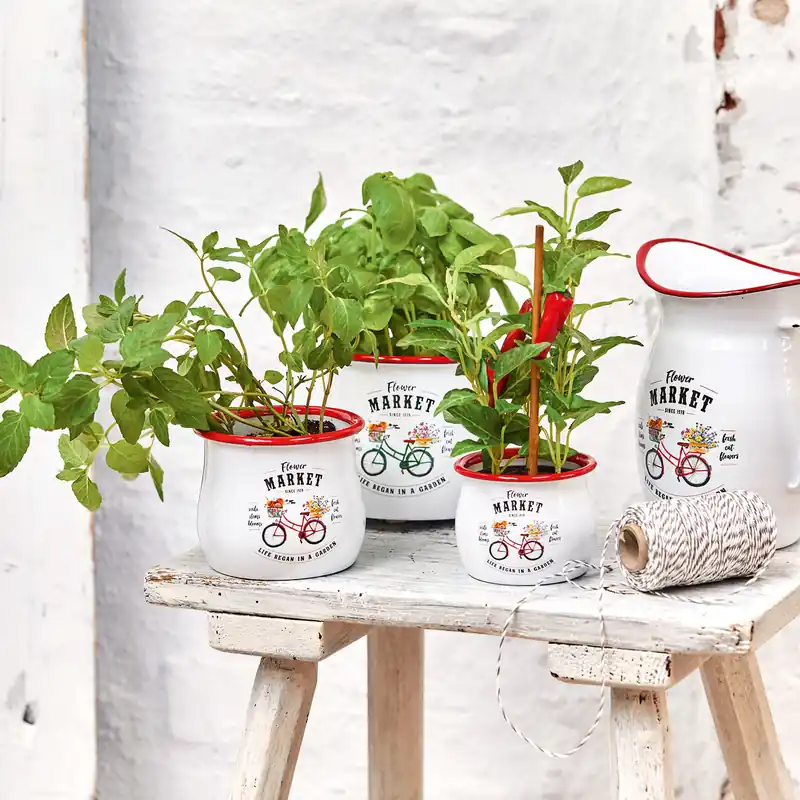 Gefäß 3er Set Flower Market Saisonangebot