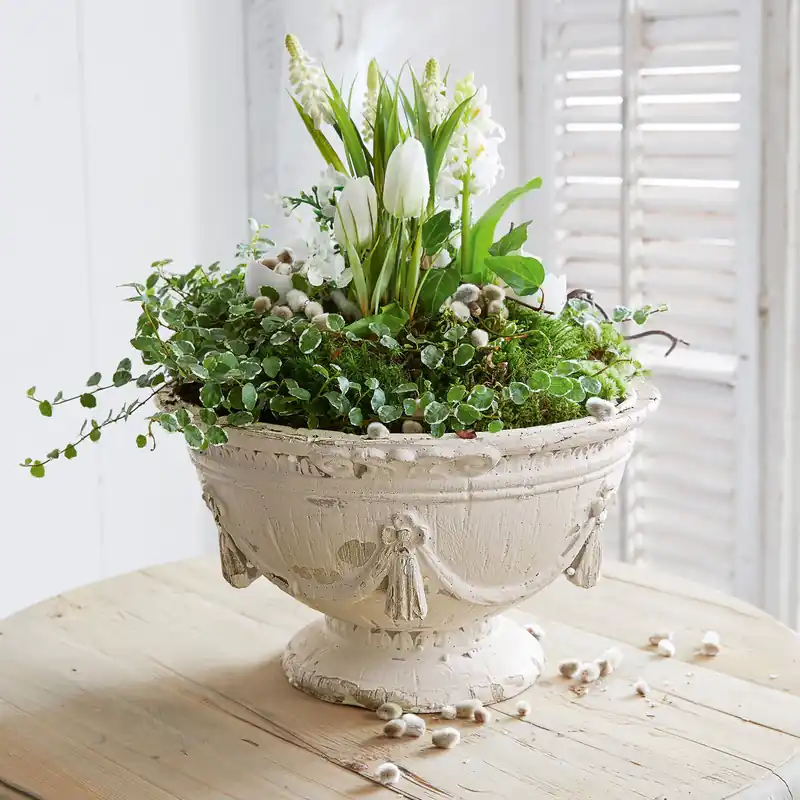 Amphore Habrena Bestseller