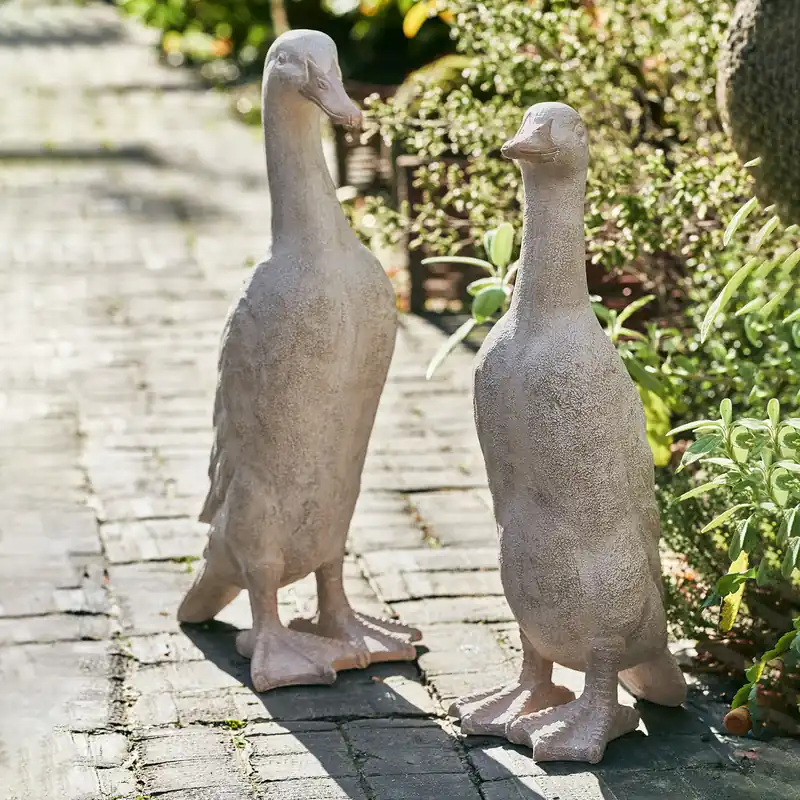 Gans 2er Set Auvergne Direkt Vom Hersteller