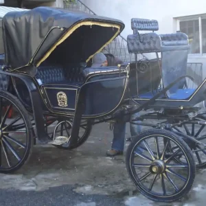 Wochenendangebot Casa Padrino Barock Pferdekutsche Blau / Gold - Prunkvolle Kutsche im Barockstil - Edel & Prunkvoll