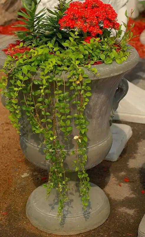 Online Kaufen Casa Padrino Barock Garten Deko Blumentopf Antik Grau Ø 54 x H. 77 cm - Prunkvoller Pflanzentopf im Barockstil - Barock Garten & Terrassen Deko Accessoires