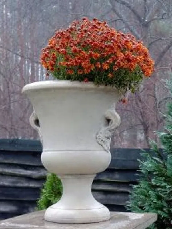 Markenware Casa Padrino Barock Garten Deko Blumentopf Grau Ø 54 x H. 77 cm - Prunkvoller Pflanzentopf im Barockstil - Barock Garten & Terrassen Deko Accessoires