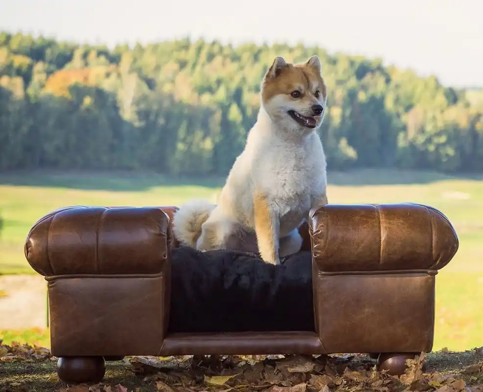 Direkt Vom Hersteller Casa Padrino Luxus Leder Hundebett Dunkelbraun / Schwarz 109 x 89 x H. 37 cm - Rechteckiges Echtleder Hundebett - Luxus Echtleder Tiermöbel