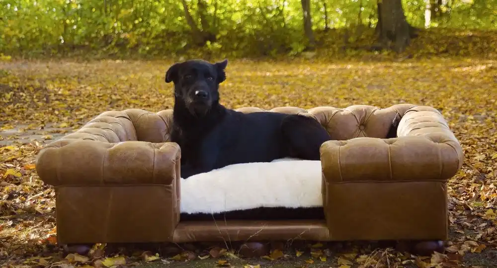 Jetzt Bestellen Casa Padrino Luxus Chesterfield Leder Hundebett Vintage Braun / Dunkelbraun / Weiß / Schwarz 134 x 104 x H. 37 cm - Rechteckiges Echtleder Hundebett - Luxus Chesterfield Leder Tiermöbel