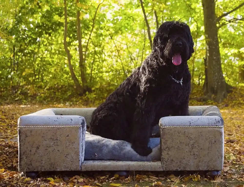 Online Kaufen Casa Padrino Luxus Hundebett Grau Muster / Dunkelbraun / Grau 120 x 90 x H. 37 cm - Modernes Rechteckiges Hundebett mit Kissen - Luxus Hundemöbel - Luxus Tiermöbel