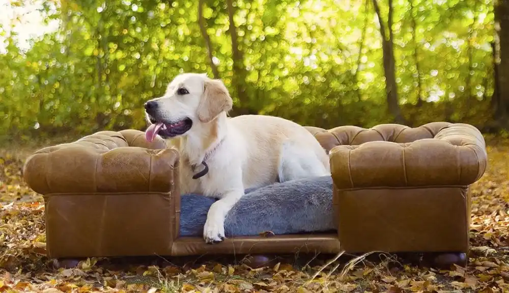 Casa Padrino Luxury Chesterfield Leather Dog Bed Vintage Brown / Dark Brown / Gray 134 x 104 x H. 37 cm - Rectangular Genuine Leather Dog Bed - Luxury Chesterfield Leather Pet Furniture Nur Für Kurze Zeit
