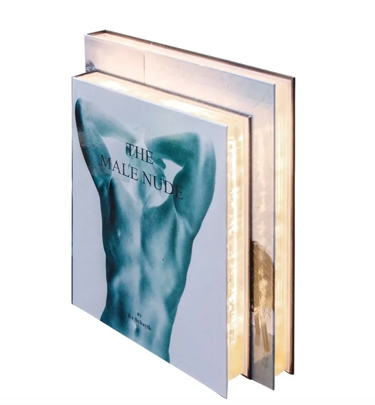 Casa Padrino lámpara de mesa de lujo en diseño de libro hombres 31 x 7,5 x H. 26,5 cm - LED Lámpara de Mesa Kracherpreis