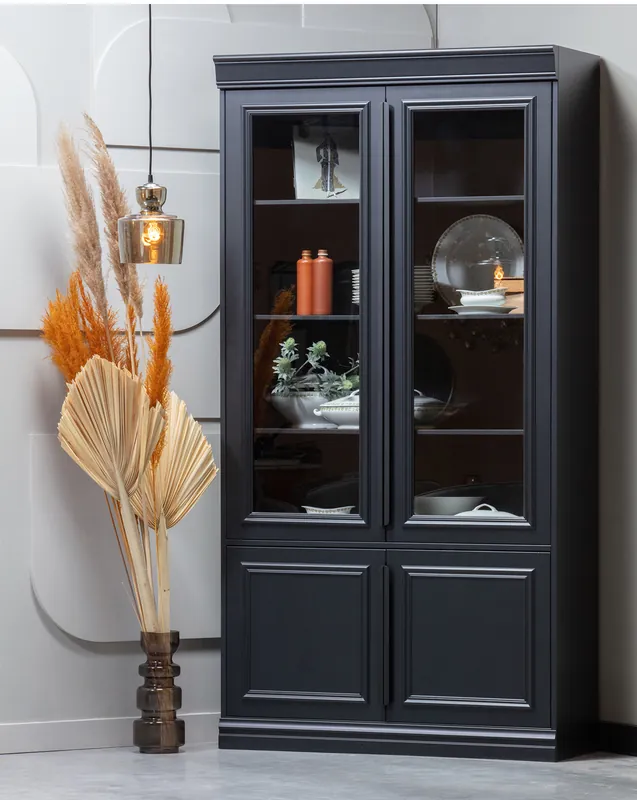 Vitrine Organize H 215 cm Kiefer Schrank schwarz Neue Kollektion