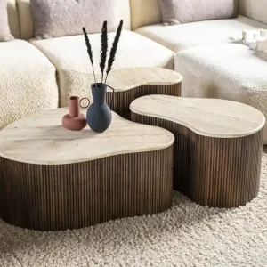 Highlight Couchtisch BARI 83 cm Mangoholz Naturstein organisch