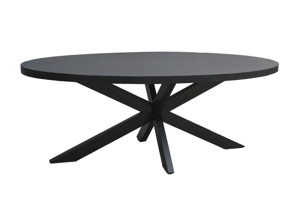 Esstisch Kala 160 x 90 cm Mangoholz schwarz Direktkauf
